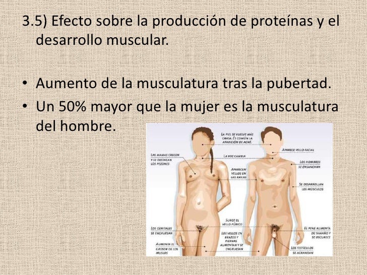 Cerca de los asiáticos el más pequeño miembro
