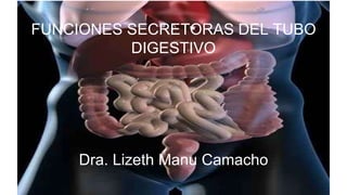 FUNCIONES SECRETORAS DEL TUBO
DIGESTIVO
Dra. Lizeth Manu Camacho
 