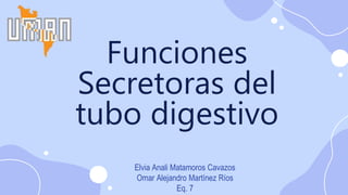 Funciones
Secretoras del
tubo digestivo
Elvia Anali Matamoros Cavazos
Omar Alejandro Martínez Ríos
Eq. 7
 
