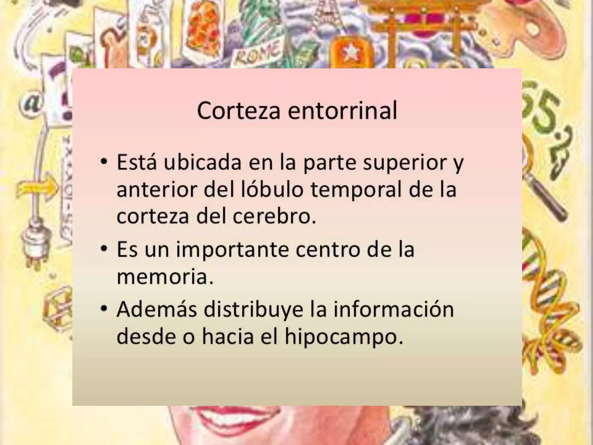 Funciones superiores del S. Nervioso Central