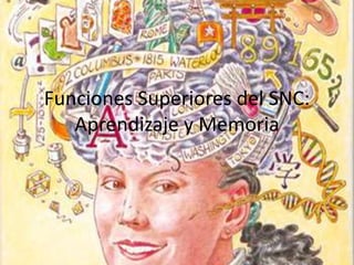 Funciones Superiores del SNC:
Aprendizaje y Memoria
 