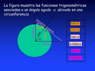 La figura muestra las funciones trigonométricas 
asociadas a un ángulo agudo ubicado en una 
circunferencia 
 sen 
 cos 
 tan 
cotan 
sec  
cosec  
 
secante 
cosecante 
seno 
coseno 
 
 
 
 