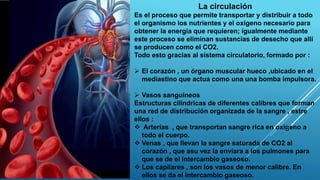 La circulación
Es el proceso que permite transportar y distribuir a todo
el organismo los nutrientes y el oxigeno necesario para
obtener la energía que requieren; igualmente mediante
este proceso se eliminan sustancias de desecho que allí
se producen como el CO2.
Todo esto gracias al sistema circulatorio, formado por :
 El corazón , un órgano muscular hueco ,ubicado en el
mediastino que actua como una una bomba impulsora.
 Vasos sanguíneos
Estructuras cilíndricas de diferentes calibres que forman
una red de distribución organizada de la sangre , estre
ellos :
 Arterias , que transportan sangre rica en oxigeno a
todo el cuerpo.
 Venas , que llevan la sangre saturada de CO2 al
corazón , que asu vez la enviara a los pulmones para
que se de el intercambio gaseoso.
 Los capilares , son los vasos de menor calibre. En
ellos se da el intercambio gaseoso.
 