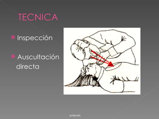 Inspección Auscultación  directa IATREVER 