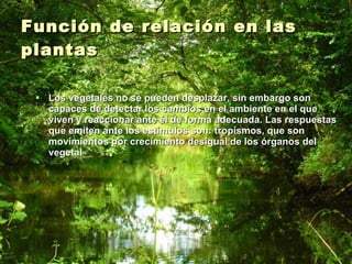 Función de relación en las plantas Los vegetales no se pueden desplazar, sin embargo son capaces de detectar los cambios en el ambiente en el que viven y reaccionar ante él de forma adecuada. Las respuestas que emiten ante los estímulos son: tropismos, que son movimientos por crecimiento desigual de los órganos del vegetal . 