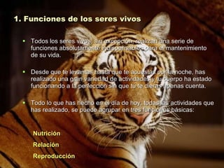 1. Funciones de los seres vivos Todos los seres vivos, sin excepción, realizan una serie de funciones absolutamente indispensables para el mantenimiento de su vida. Desde que te levantas hasta que te acuestas por la noche, has realizado una gran variedad de actividades y tu cuerpo ha estado funcionando a la perfección sin que tú te dieras apenas cuenta. Todo lo que has hecho en el día de hoy, todas las actividades que has realizado, se puede agrupar en tres funciones básicas: Nutrición Relación Reproducción 