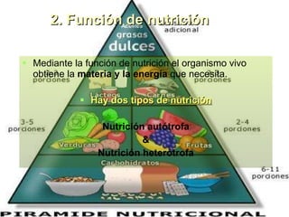 2. Función de nutrición Mediante la función de nutrición el organismo vivo obtiene la  materia y la energía  que necesita. Hay dos tipos de  nutrición Nutrición autótrofa & Nutrición heterótrofa 