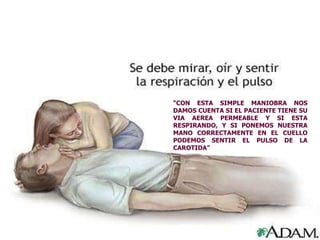 EN LOS CASOS DE URGENCIAS O PACIENTES INCONCIENTES EN LA COMUNIDAD OR CUALQUIER CAUSA: “ CON ESTA SIMPLE MANIOBRA NOS DAMOS CUENTA SI EL PACIENTE TIENE SU VIA AEREA PERMEABLE Y SI ESTA RESPIRANDO, Y SI PONEMOS NUESTRA MANO CORRECTAMENTE EN EL CUELLO PODEMOS SENTIR EL PULSO DE LA CAROTIDA” 