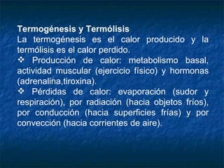   Termogénesis y Termólisis La termogénesis es el calor producido y la termólisis es el calor perdido. Producción de calor: metabolismo basal, actividad muscular (ejercicio físico) y hormonas (adrenalina,tiroxina). Pérdidas de calor: evaporación (sudor y respiración), por radiación (hacia objetos fríos), por conducción (hacia superficies frías) y por convección (hacia corrientes de aire). 