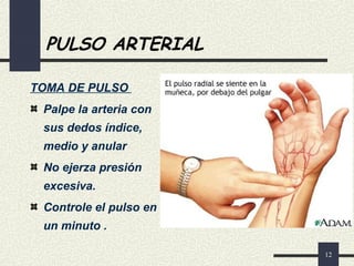 12
PULSO ARTERIAL
TOMA DE PULSO
Palpe la arteria con
sus dedos índice,
medio y anular
No ejerza presión
excesiva.
Controle el pulso en
un minuto .
 