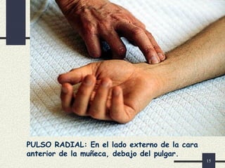 15
PULSO RADIAL: En el lado externo de la cara
anterior de la muñeca, debajo del pulgar.
 