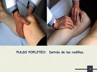 18
PULSO POPLITEO: Detrás de las rodillas.
 