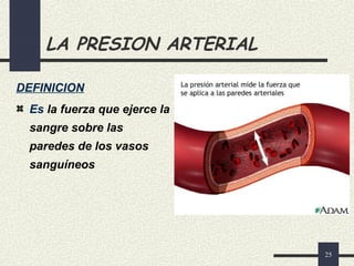 25
LA PRESION ARTERIAL
DEFINICION
Es la fuerza que ejerce la
sangre sobre las
paredes de los vasos
sanguíneos
 
