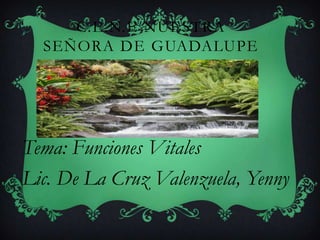 C.E.N.E NUESTRA
SEÑORA DE GUADALUPE

Tema: Funciones Vitales
Lic. De La Cruz Valenzuela, Yenny

 