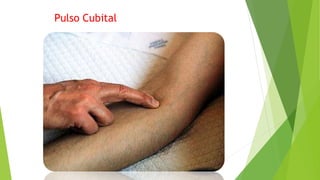 Pulso Cubital
 