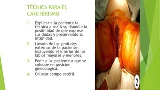 TÉCNICA PARA EL
CATETERISMO
1. Explicar a la paciente la
técnica a realizar, dándole la
posibilidad de que exprese
sus dudas y preservando su
intimidad.
2. Lavado de los genitales
externos de la paciente,
incluyendo el interior de los
labios mayores y menores.
3. Pedir a la paciente a que se
coloque en posición
ginecológica.
4. Colocar campo estéril.
 
