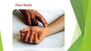Pulso Radial
 