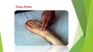 Pulso Pedio
 