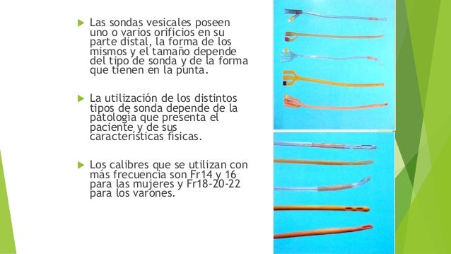 TIPOS DE SONDAS VESICLES DOWNLOAD TIPOS DE SONDAS VESICLES DOWNLOAD