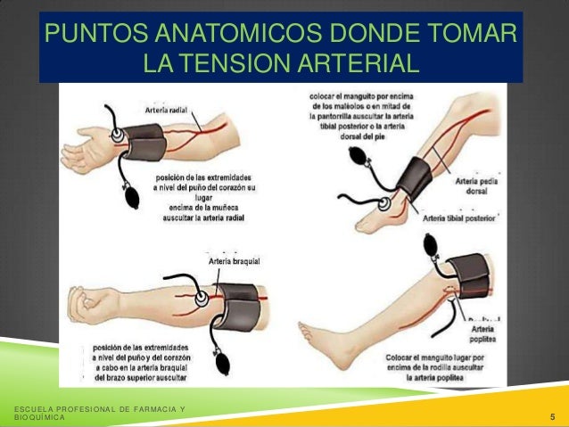 Diagrama De Flujo De Toma De Presion Arterial funcionesvitales01.blogspot.com