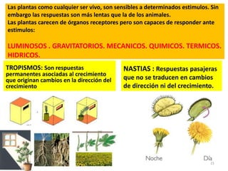 Las plantas como cualquier ser vivo, son sensibles a determinados estimulos. Sin
embargo las respuestas son más lentas que la de los animales.
Las plantas carecen de órganos receptores pero son capaces de responder ante
estimulos:
LUMINOSOS . GRAVITATORIOS. MECANICOS. QUIMICOS. TERMICOS.
HIDRICOS.
TROPISMOS: Son respuestas
permanentes asociadas al crecimiento
que originan cambios en la dirección del
crecimiento
NASTIAS : Respuestas pasajeras
que no se traducen en cambios
de dirección ni del crecimiento.
21
 