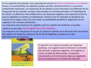 22
En los vegetales (las plantas), esta capacidad de relación se llama excitabilidad o sensibilidad.
Gracias a la excitabilidad, los vegetales pueden percibir estímulos externos y reaccionar
produciendo respuestas. Las respuestas de las plantas son de naturaleza muy diferente de las
respuestas de los animales, aunque están basadas en el mismo principio: la irritabilidad de
las células. La diferencia más notable entre una respuesta vegetal y una respuesta animal es
que los vegetales se mueven sin desplazarse, mientras que los animales se desplazan (se
mueven de un lugar a otro). De este modo, la excitabilidad posibilita la adaptación de los
vegetales a los cambios ambientales.
Las respuestas que producen los vegetales ante los cambios del ambiente se pueden
clasificar en dos tipos: los tropismos y las nastias.
Los tropismos son respuestas en las que se producen cambios en la dirección del crecimiento
del vegetal. Los tropismos alteran la forma de los vegetales y producen en ellos
deformaciones permanentes.
En general, los tropismos pueden ser tropismos
positivos, si el vegetal crece en dirección a la fuente
del estímulo, tropismos negativos, si el vegetal, al
crecer, se aleja de dicha fuente; o tropismos
transversales, si el crecimiento coloca al vegetal de
forma perpendicular a la fuente del estímulo.
 