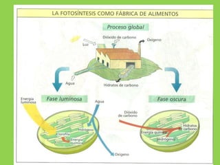 Profesor: Manuel Jesús Virella Sánchez 9
 