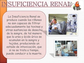La Insuficiencia Renal se 
produce cuando los riñones 
no son capaces de filtrar 
adecuadamente las toxinas y 
otras sustancias de desecho 
de la sangre, de tal manera 
que la urea y ácido úrico se 
acumulan en la sangre y 
tejidos, produciendo un 
estado de intoxicación, que 
si no se trata a tiempo, 
puede conducir a la muerte. 
 