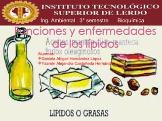 Ing. Ambiental 3° semestre

Alumnas:
Daniela Abigail Hernández López
Yazmín Alejandra Castañeda Hernández

Bioquímica

 