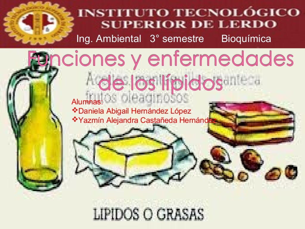 Funciones y enfermedades relacionadas a los lipidos