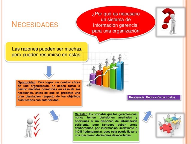 Funciones y necesidades del sistema de informacion gerencial