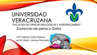 UNIVERSIDAD
VERACRUZANA

“FACULTAD DE CIENCIAS BIOLÓGICAS Y AGROPECUARIAS”

Zootecnia de perros y Gatos
MVZ: Fabiola Cortes Márquez
eMVZ: Hilario I. Monroy Pancardo

 
