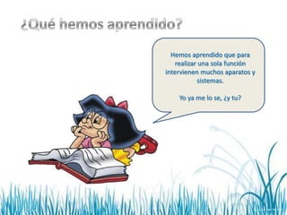 Hemos aprendido que para
   realizar una sola función
intervienen muchos aparatos y
           sistemas.

    Yo ya me lo se, ¿y tu?
 