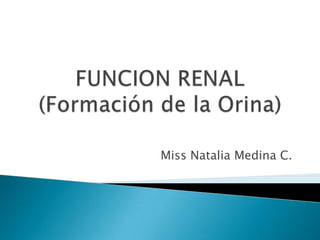 FUNCION RENAL(Formación de la Orina) Miss Natalia Medina C. 