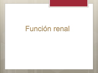 Función renal
 