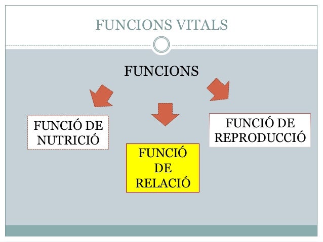 Resultat d'imatges de FUNCIONS VITALS