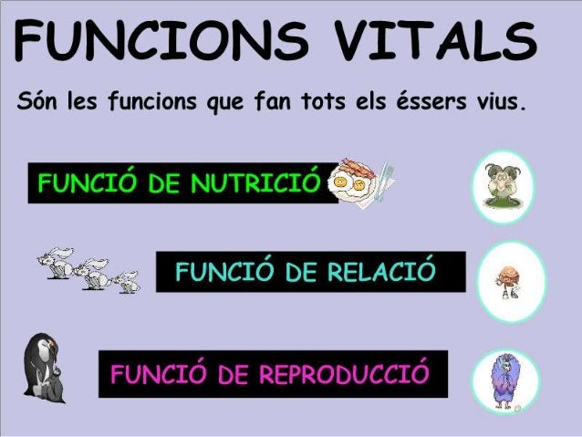 Resultat d'imatges per a "les funcions dels animals"