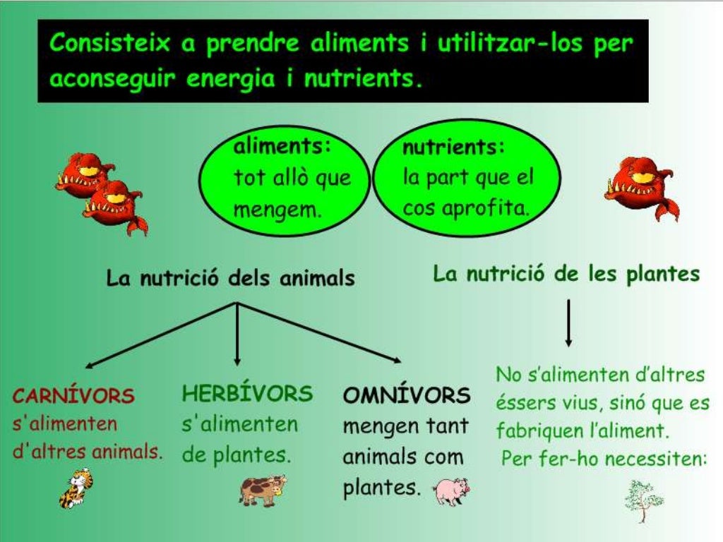 Funcions vitals dels éssers vius