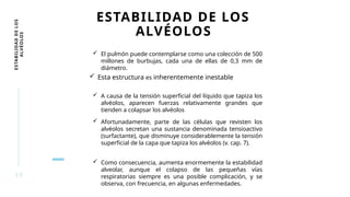 17
ESTABILIDAD
DE
LOS
ALVÉOLOS ESTABILIDAD DE LOS
ALVÉOLOS
 El pulmón puede contemplarse como una colección de 500
millones de burbujas, cada una de ellas de 0,3 mm de
diámetro.
 Esta estructura es inherentemente inestable
 A causa de la tensión superficial del líquido que tapiza los
alvéolos, aparecen fuerzas relativamente grandes que
tienden a colapsar los alvéolos
 Afortunadamente, parte de las células que revisten los
alvéolos secretan una sustancia denominada tensioactivo
(surfactante), que disminuye considerablemente la tensión
superficial de la capa que tapiza los alvéolos (v. cap. 7).
 Como consecuencia, aumenta enormemente la estabilidad
alveolar, aunque el colapso de las pequeñas vías
respiratorias siempre es una posible complicación, y se
observa, con frecuencia, en algunas enfermedades.
 
