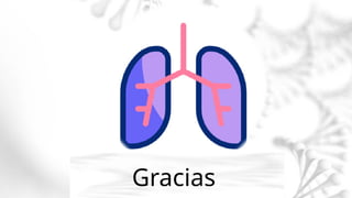 MIRJAM NILSSON​
MIRJAM@CONTOSO.COM | WWW.CONTOSO.COM
Gracias
 