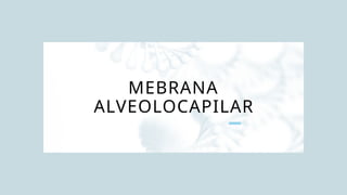 MEBRANA
ALVEOLOCAPILAR
 
