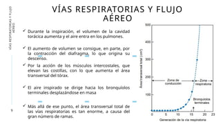 9
VÍAS RESPIRATORIAS Y FLUJO
AÉREO
VÍAS
RESPIRATORIAS
Y
FLUJO
AÉREO
 Durante la inspiración, el volumen de la cavidad
torácica aumenta y el aire entra en los pulmones.
 El aumento de volumen se consigue, en parte, por
la contracción del diafragma, lo que origina su
descenso.
 Por la acción de los músculos intercostales, que
elevan las costillas, con lo que aumenta el área
transversal del tórax.
 El aire inspirado se dirige hacia los bronquíolos
terminales desplazándose en masa
 Más allá de ese punto, el área transversal total de
las vías respiratorias es tan enorme, a causa del
gran número de ramas.
 