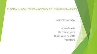 FUNCION Y LOCALIZACION ANATOMICA DE LOS PARES CRANEALES
MORFOFISIOLOGIA
Amanda Vela
Iberoamericana
18 de Mayo de 2019
Psicología
 