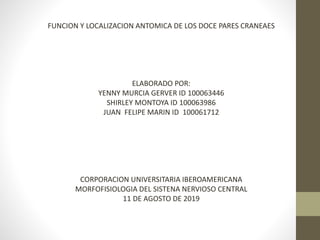 FUNCION Y LOCALIZACION ANTOMICA DE LOS DOCE PARES CRANEAES
ELABORADO POR:
YENNY MURCIA GERVER ID 100063446
SHIRLEY MONTOYA ID 100063986
JUAN FELIPE MARIN ID 100061712
CORPORACION UNIVERSITARIA IBEROAMERICANA
MORFOFISIOLOGIA DEL SISTENA NERVIOSO CENTRAL
11 DE AGOSTO DE 2019
 