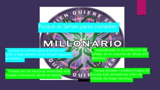 Esta foto de Autor desconocido está bajo licencia CC BY-SA
Porque se llaman pares craneales
a. porque se cuentan pares al existir uno
tanto al lado derecho como al lado izquierdo
del cerebro
b. especializadas en la conducción de
señales. es un conjunto de células ales
eléctricas
c. Porque son Las neuronas sensoriales, que
mandan información desde los tejidos
d. Porque protege y modera el gasto de
energía. Está formado por miles de
millones de largas neuronas,
 