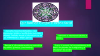 Que función cumple el nervio facial
a. Inerva los músculos dedicados a crear
expresiones faciales y las glándulas lagrimales y
salivales. También recoge la información de los
2/3 anteriores de la lengua (gusto).
b. Transmite la información olfativa al
cerebro.
c. Recoge la información auditiva y cenestésica
(equilibrio, gravedad y movimiento).
d. Inerva la mayoría de los movimientos de la
lengua encargados de la deglución y la
articulación de sonidos
 