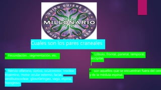 a. Fecundación , segmentación, etc. b. Lóbulo, frontal, parietal, temporal,
occipital
c. Nervio olfatorio, óptico, oculomotor, troclear,
trigémino, motor ocular externo, facial,
vestibulococlear, glosofaríngeo, vago, espina,
hipogloso.
d. son aquellos que se encuentran fuera del cere
y de la médula espinal.
Esta foto de Autor desconocido está bajo licencia CC BY-SA
Cuales son los pares craneales
 