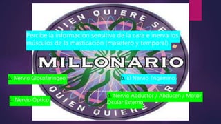 Esta foto de Autor desconocido está bajo licencia CC BY-
SA
Percibe la información sensitiva de la cara e inerva los
músculos de la masticación (masetero y temporal).
a. Nervio Glosofaríngeo b. El Nervio Trigémino
c. Nervio Óptico
d. Nervio Abductor / Abducen / Motor
Ocular Externo
 
