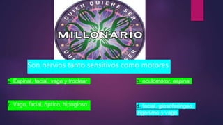 a. Espinal, facial, vago y troclear b. oculomotor, espinal
c. Vago, facial, óptico, hipogloso d. facial, glosofaríngeo,
trigenimo y vago
Son nervios tanto sensitivos como motores
 
