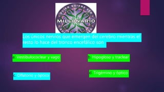 Esta foto de Autor desconocido está bajo licencia CC BY-
SA
Los únicos nervios que emergen del cerebro mientras el
resto lo hace del tronco encefálico son
d. Trigémino y óptico
a. Vestibulococlear y vago b. Hipogloso y traclear
c. Olfatorio y óptico
 